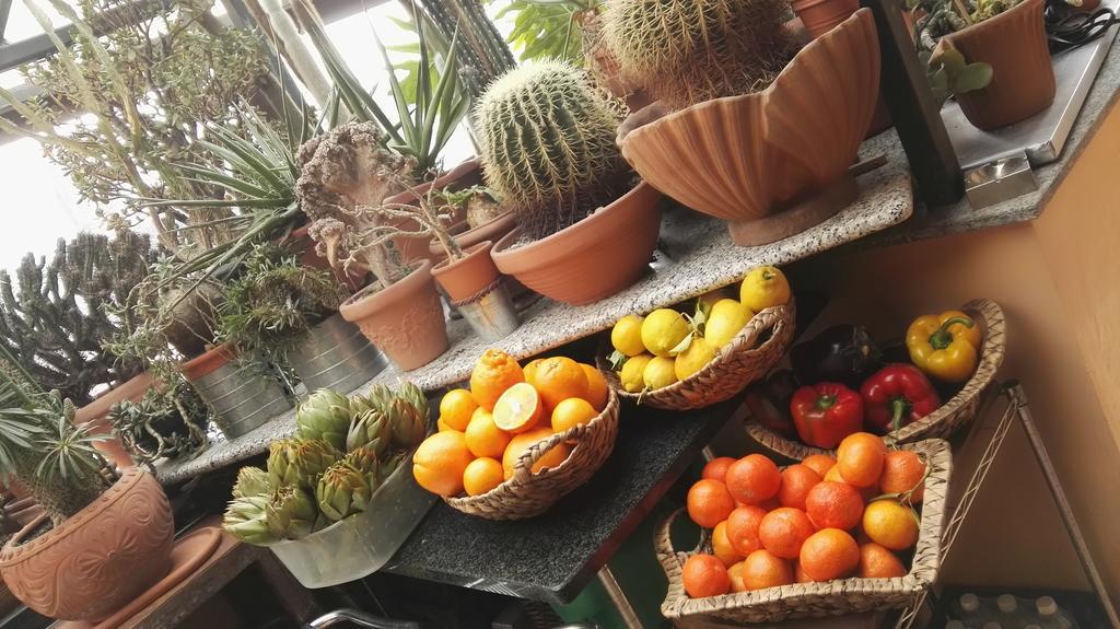 A Casa Di Gio Bed & Breakfast ตูริน ภายนอก รูปภาพ